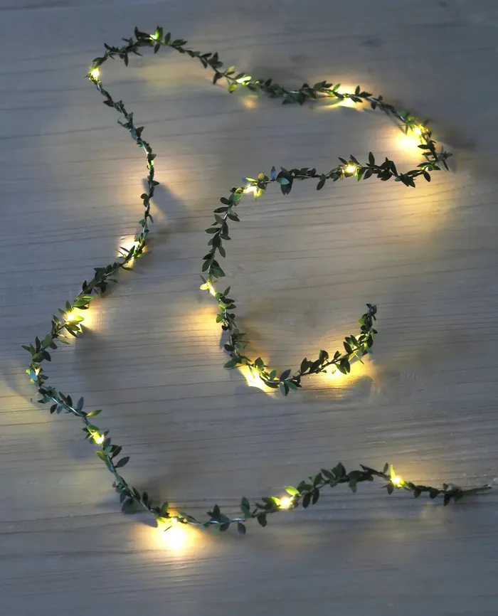Mini Greenery String Lights Candlewick Gift Shop Earrings